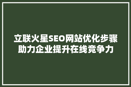 立联火星SEO网站优化步骤助力企业提升在线竞争力