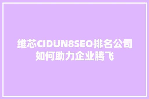 维芯CIDUN8SEO排名公司如何助力企业腾飞