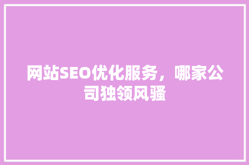 网站SEO优化服务，哪家公司独领风骚