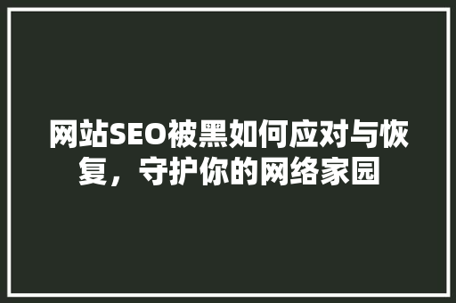网站SEO被黑如何应对与恢复，守护你的网络家园