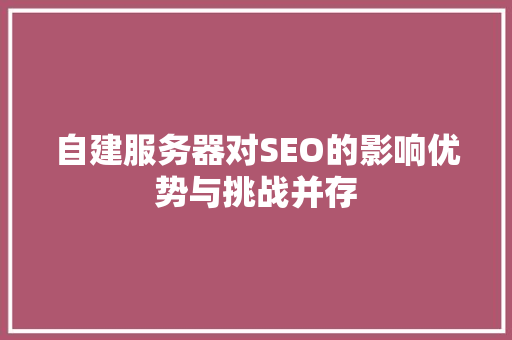 自建服务器对SEO的影响优势与挑战并存