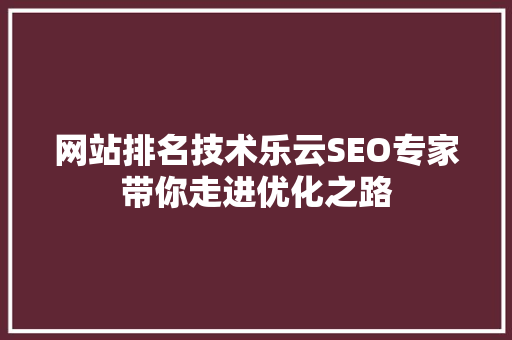 网站排名技术乐云SEO专家带你走进优化之路