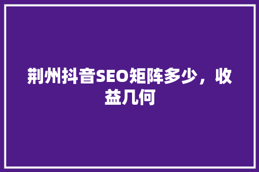 荆州抖音SEO矩阵多少，收益几何