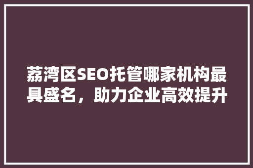 荔湾区SEO托管哪家机构最具盛名，助力企业高效提升网络排名