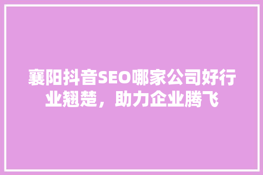 襄阳抖音SEO哪家公司好行业翘楚，助力企业腾飞