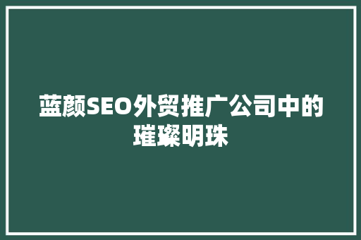 蓝颜SEO外贸推广公司中的璀璨明珠