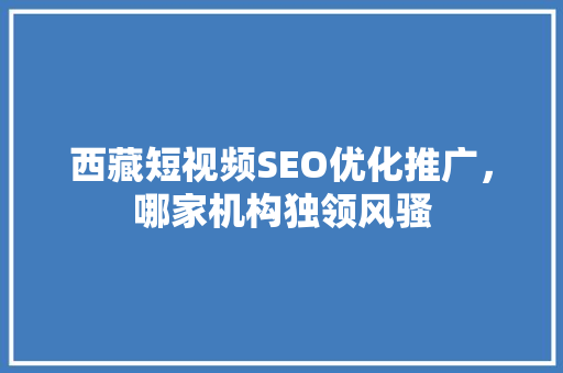 西藏短视频SEO优化推广，哪家机构独领风骚