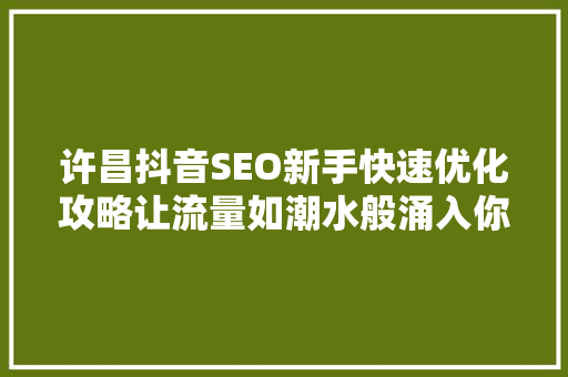 许昌抖音SEO新手快速优化攻略让流量如潮水般涌入你的账号