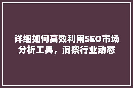 详细如何高效利用SEO市场分析工具，洞察行业动态