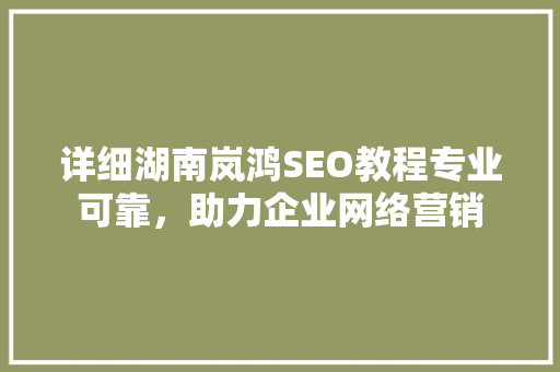 详细湖南岚鸿SEO教程专业可靠，助力企业网络营销
