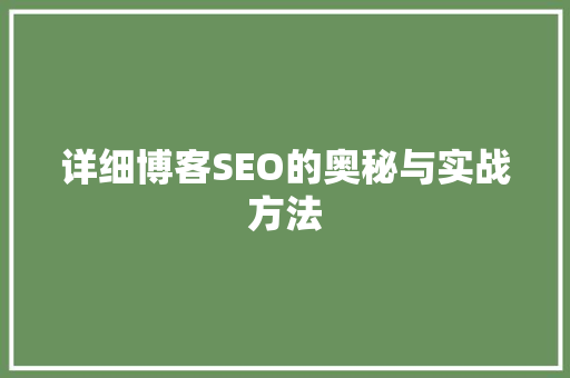 详细博客SEO的奥秘与实战方法