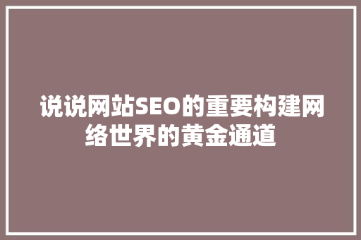 说说网站SEO的重要构建网络世界的黄金通道