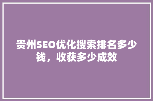 贵州SEO优化搜索排名多少钱，收获多少成效