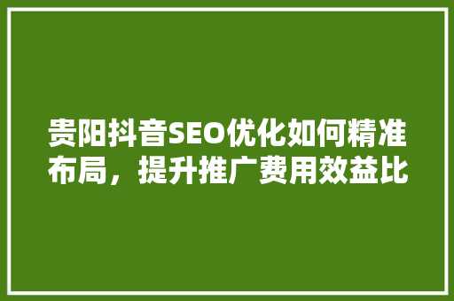 贵阳抖音SEO优化如何精准布局，提升推广费用效益比