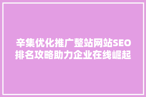 辛集优化推广整站网站SEO排名攻略助力企业在线崛起