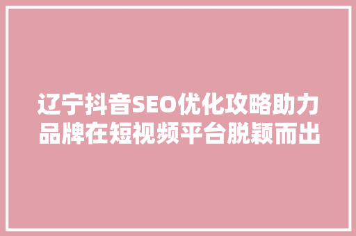 辽宁抖音SEO优化攻略助力品牌在短视频平台脱颖而出