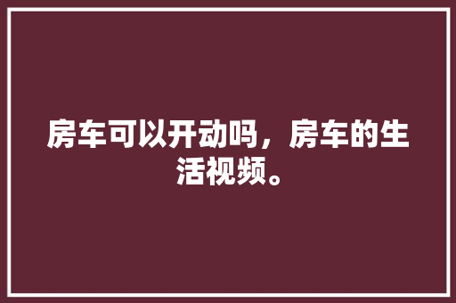 7火星SEO关键词软件的佼佼者，助力网站优化提升