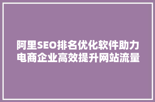 阿里SEO排名优化软件助力电商企业高效提升网站流量与转化率