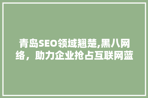 青岛SEO领域翘楚,黑八网络，助力企业抢占互联网蓝海