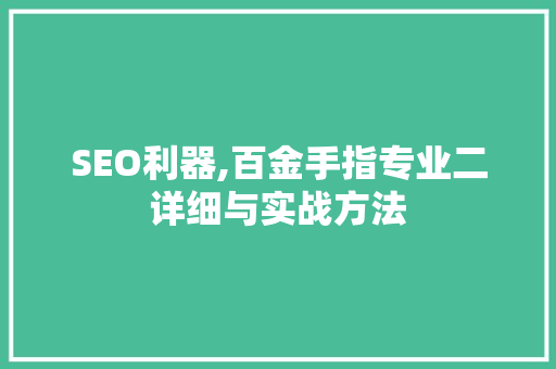 SEO利器,百金手指专业二详细与实战方法