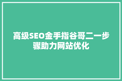 高级SEO金手指谷哥二一步骤助力网站优化