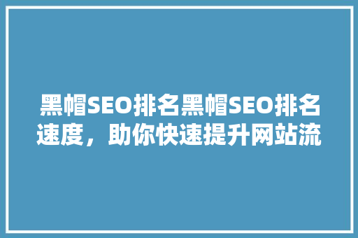黑帽SEO排名黑帽SEO排名速度，助你快速提升网站流量