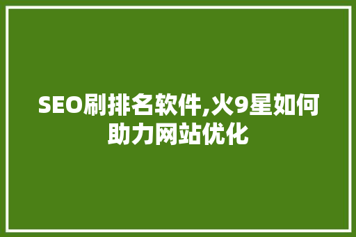 SEO刷排名软件,火9星如何助力网站优化