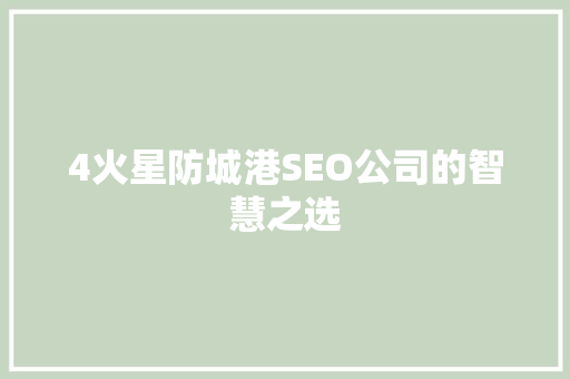 4火星防城港SEO公司的智慧之选