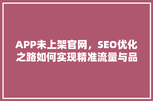 APP未上架官网，SEO优化之路如何实现精准流量与品牌曝光