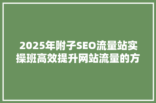 2025年附子SEO流量站实操班高效提升网站流量的方法
