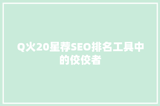Q火20星荐SEO排名工具中的佼佼者