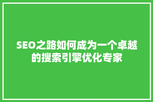 SEO之路如何成为一个卓越的搜索引擎优化专家