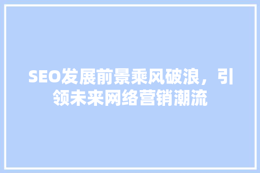 SEO发展前景乘风破浪，引领未来网络营销潮流