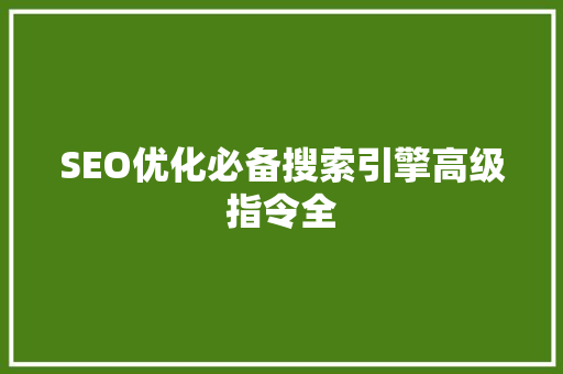 SEO优化必备搜索引擎高级指令全