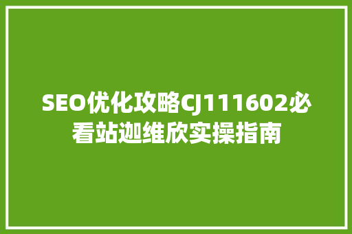 SEO优化攻略CJ111602必看站迦维欣实操指南