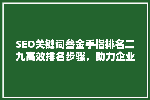 SEO关键词叁金手指排名二九高效排名步骤，助力企业网站崛起