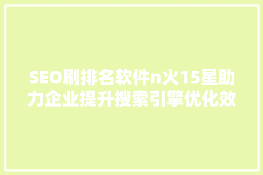 SEO刷排名软件n火15星助力企业提升搜索引擎优化效果