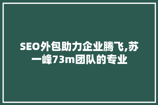 SEO外包助力企业腾飞,苏一峰73m团队的专业