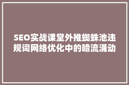 SEO实战课堂外推蜘蛛池违规词网络优化中的暗流涌动