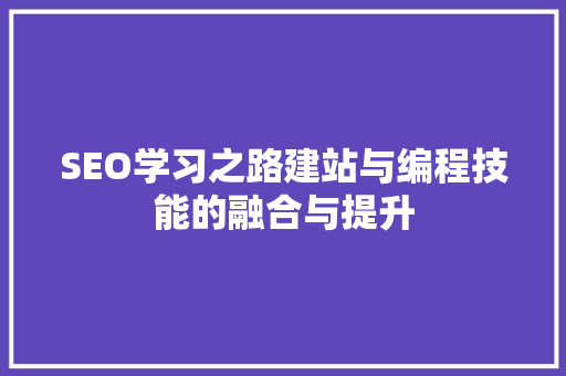 SEO学习之路建站与编程技能的融合与提升