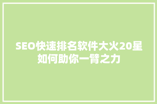 SEO快速排名软件大火20星如何助你一臂之力