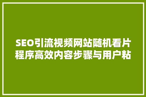 SEO引流视频网站随机看片程序高效内容步骤与用户粘提升之路