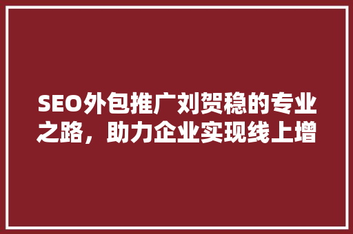 SEO外包推广刘贺稳的专业之路，助力企业实现线上增长