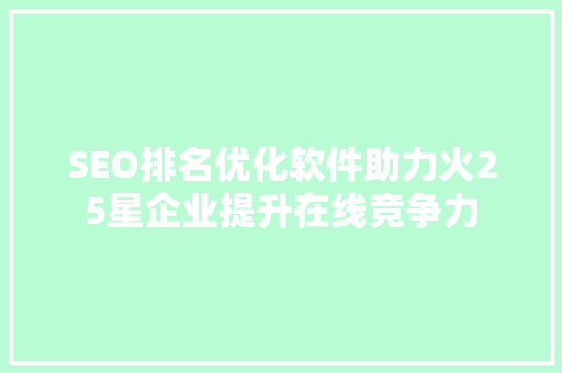 SEO排名优化软件助力火25星企业提升在线竞争力