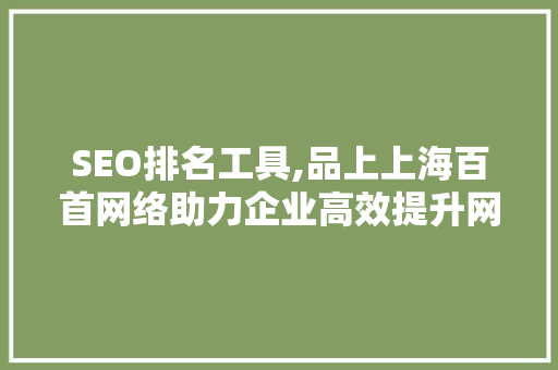 SEO排名工具,品上上海百首网络助力企业高效提升网站排名