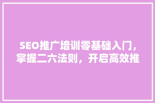 SEO推广培训零基础入门，掌握二六法则，开启高效推广之路