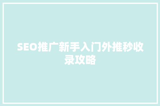 SEO推广新手入门外推秒收录攻略