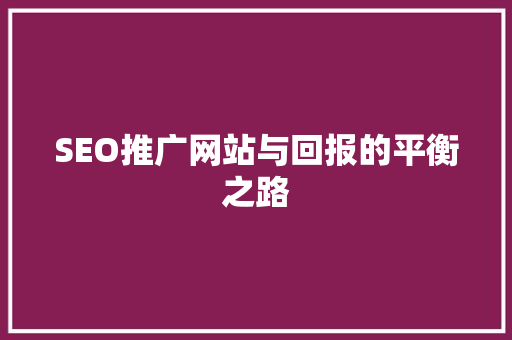 SEO推广网站与回报的平衡之路